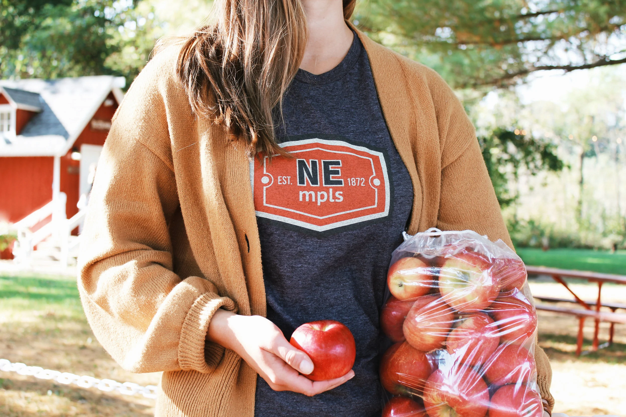 NE mpls 2 fall.jpg