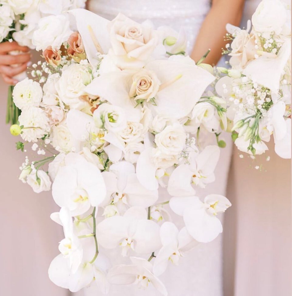 An elegant bouquet with a modern twist! We loved this creation for Demi and Kevin&rsquo;s wedding a couple weeks ago. Tap for credits! 😍🌸🥂 #vandafloraldesign #stemsfloraldesign #scottanddanaphotography #quintanaevents #carnerosresortandspa