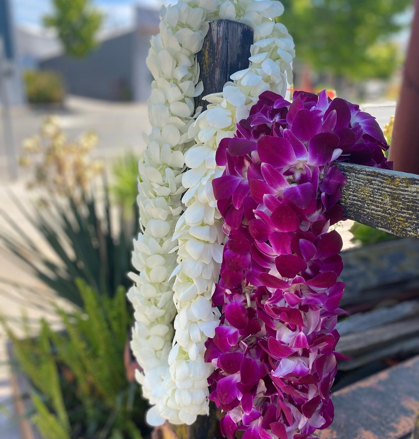 It&rsquo;s that time again, don&rsquo;t forget to order your grad lei early! Choice of white or purple orchids. 707-763-9271.