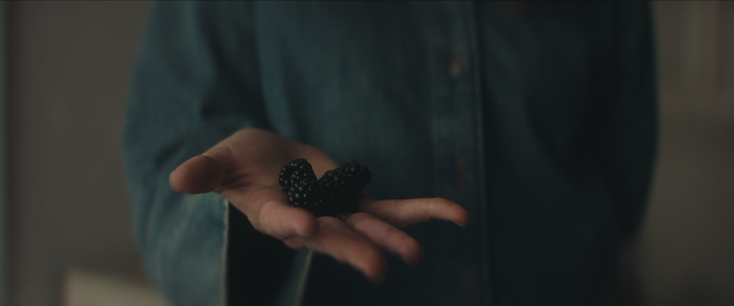 Hollyn & The Weathrman - Blackberry (Official Music Video)