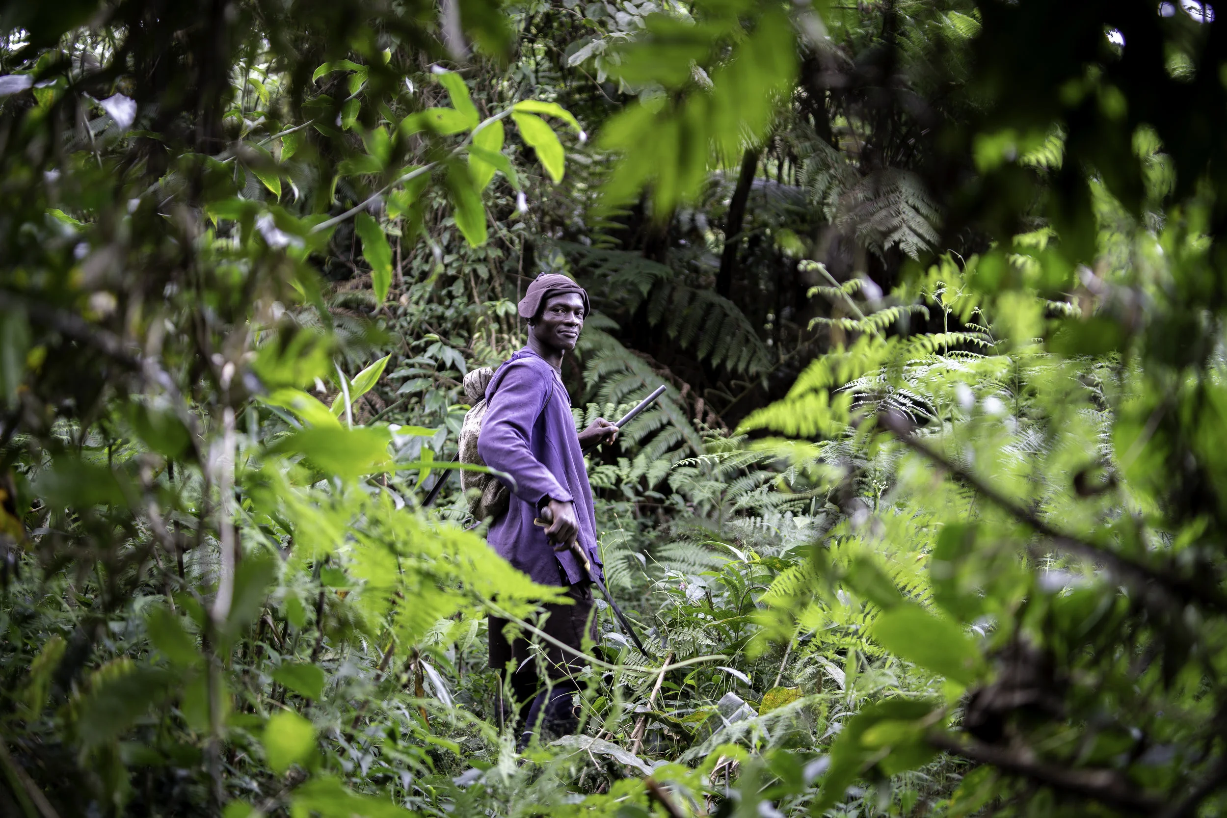 Tingi Hills, Sierra Leone