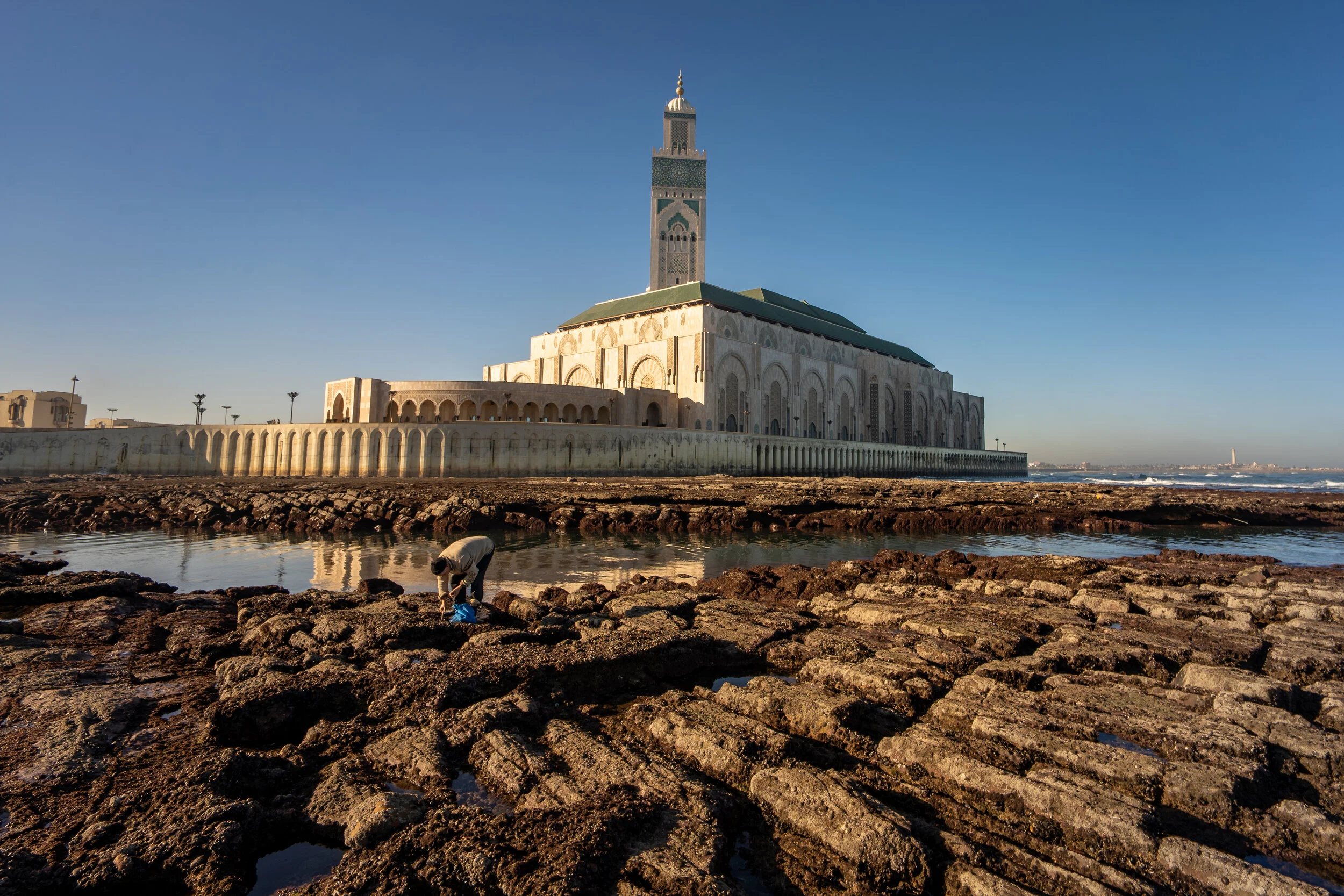 untitled- January 12, 2020- _DSC6723.jpg