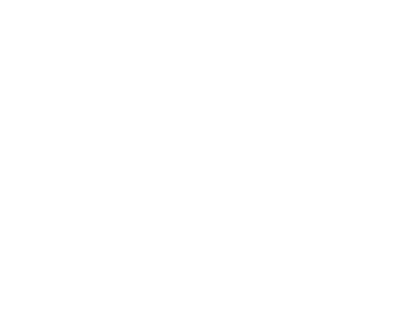 Big Picture Media Company