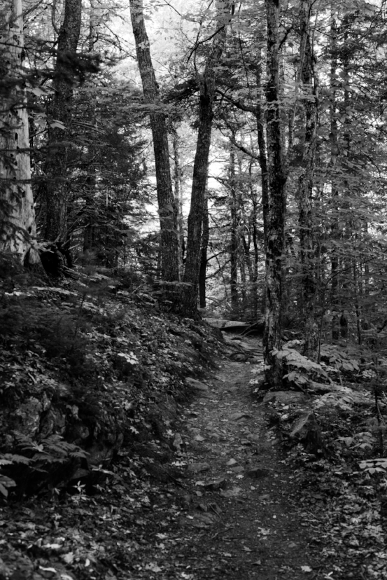 20180830_Here_Now_Then_0021.jpg