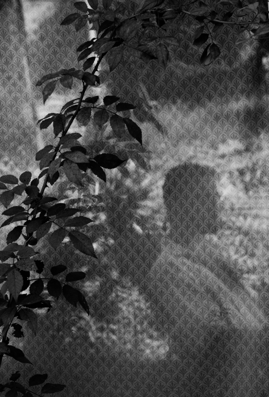 20180727_Here_Now_Then_0017.jpg