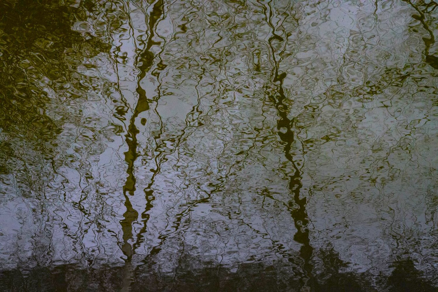 1KkCyx-A.jpeg