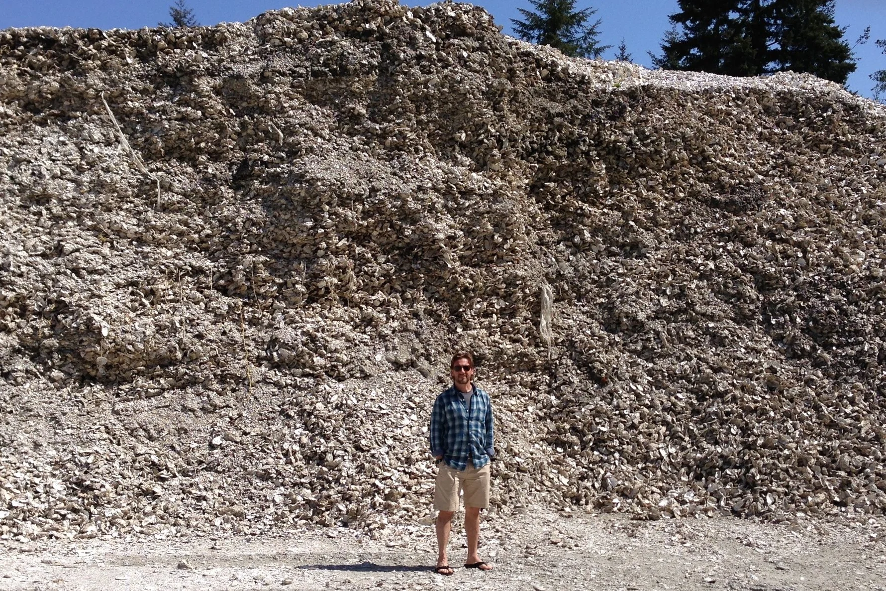 KJ shell mountainFullSizeRender.jpg