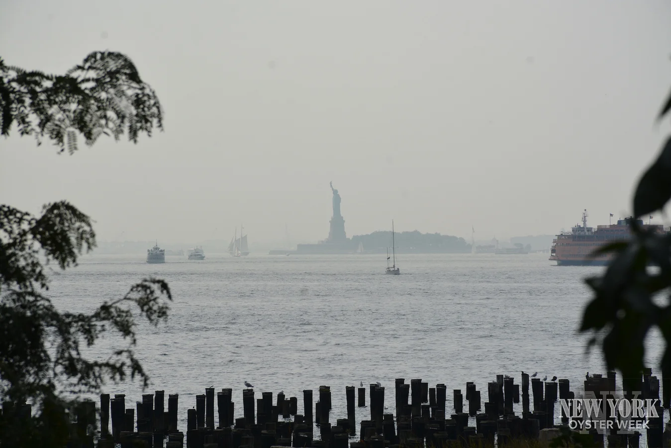 DSC_3743.jpg