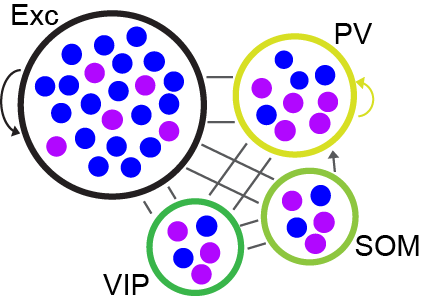 network_model_schematic.png