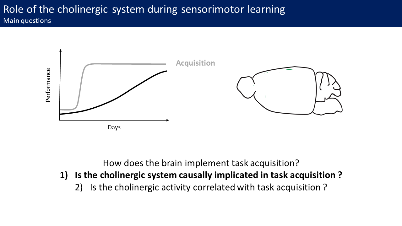 Slide7.PNG