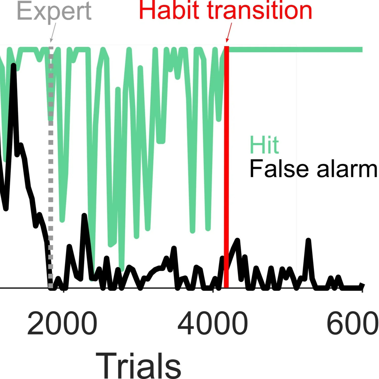 Publications — The Kuchibhotla Lab