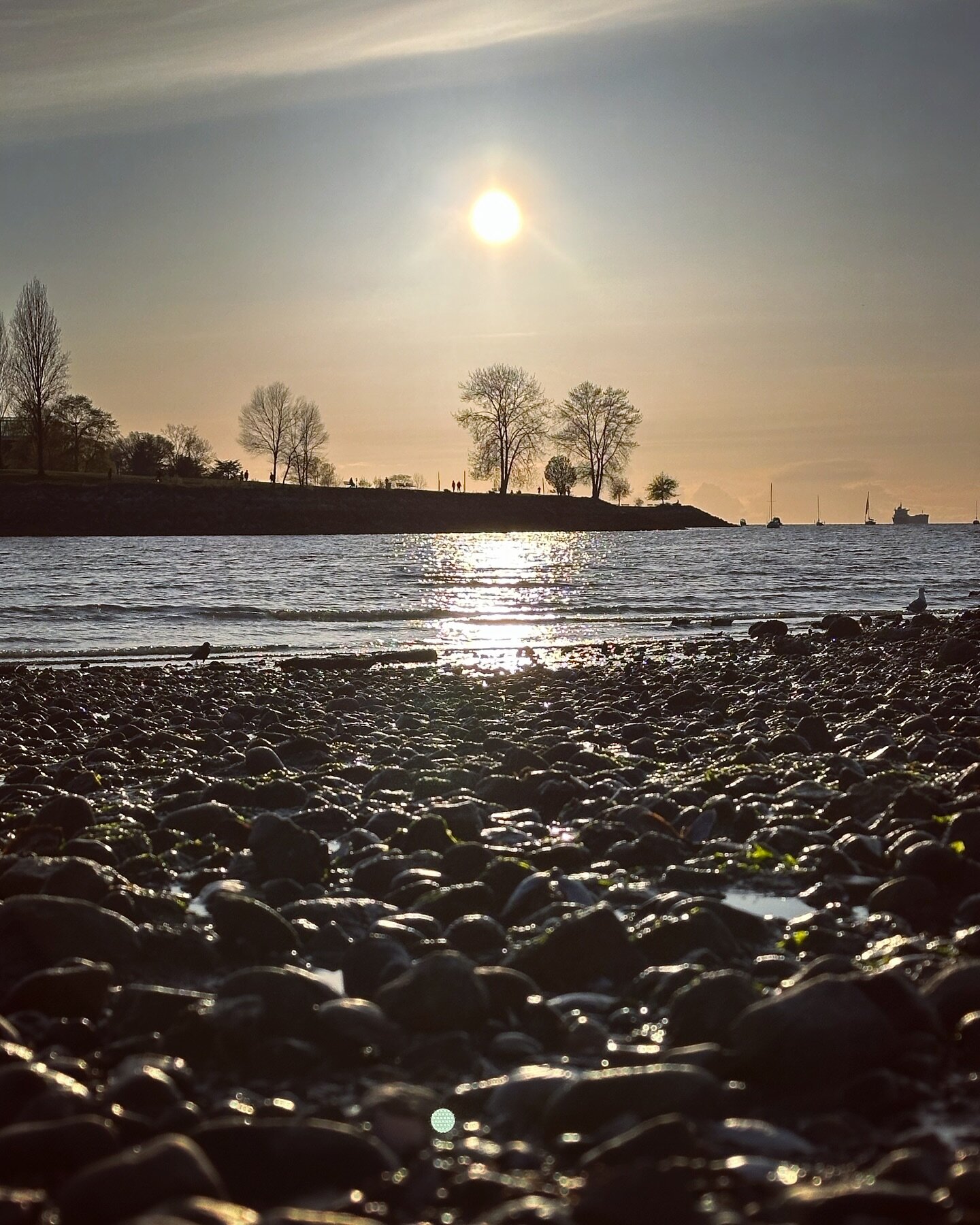 ~ Grateful ~

Grateful for longer days with blue skies, sunshine on my face and fresh air in my hair&hellip;

Life is good 😎

#freshair #sunshineonmyface #summeriscoming #blueskies #grateful #lifeisgood #vancouver #englishbay