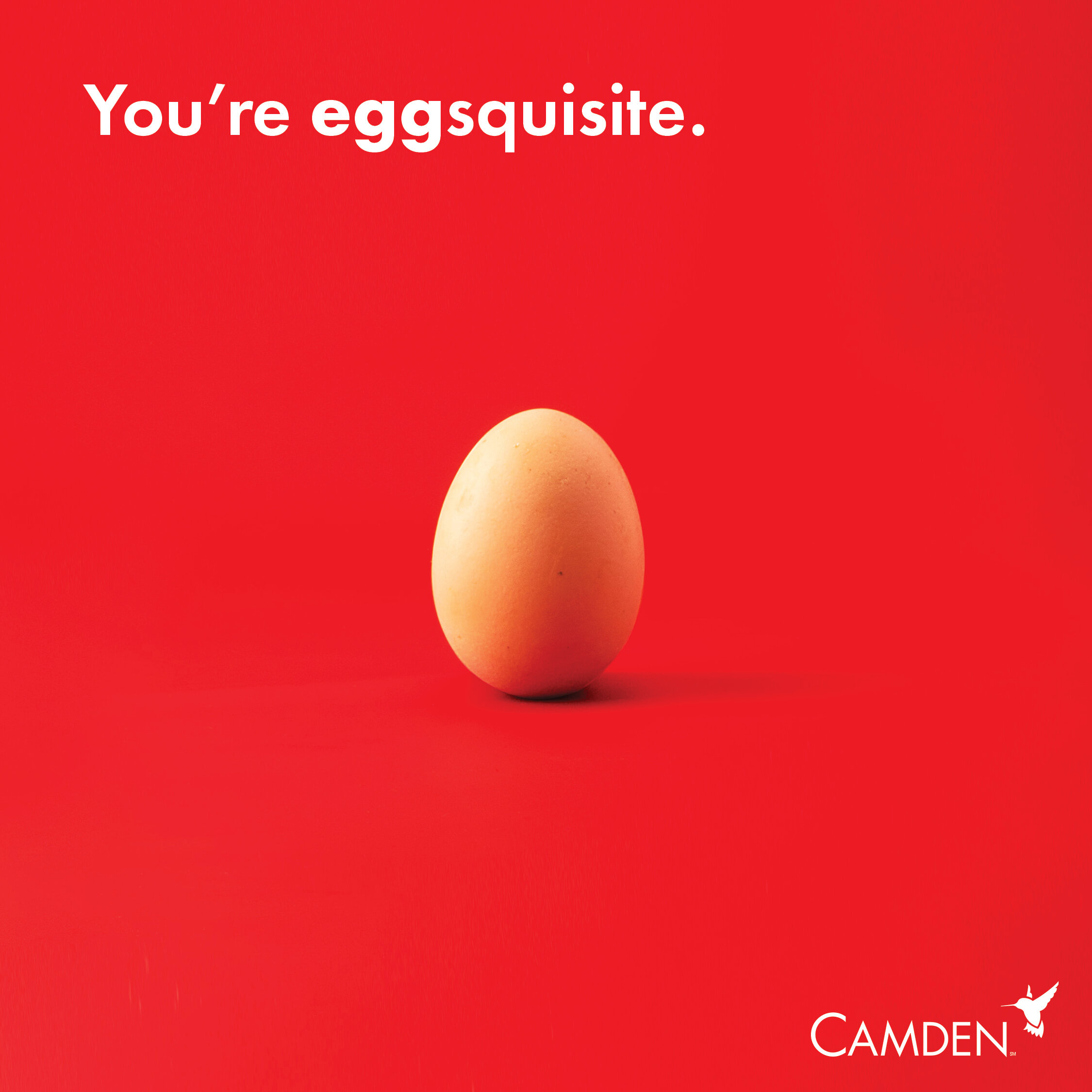 Compliments_EGGsquisite.jpg