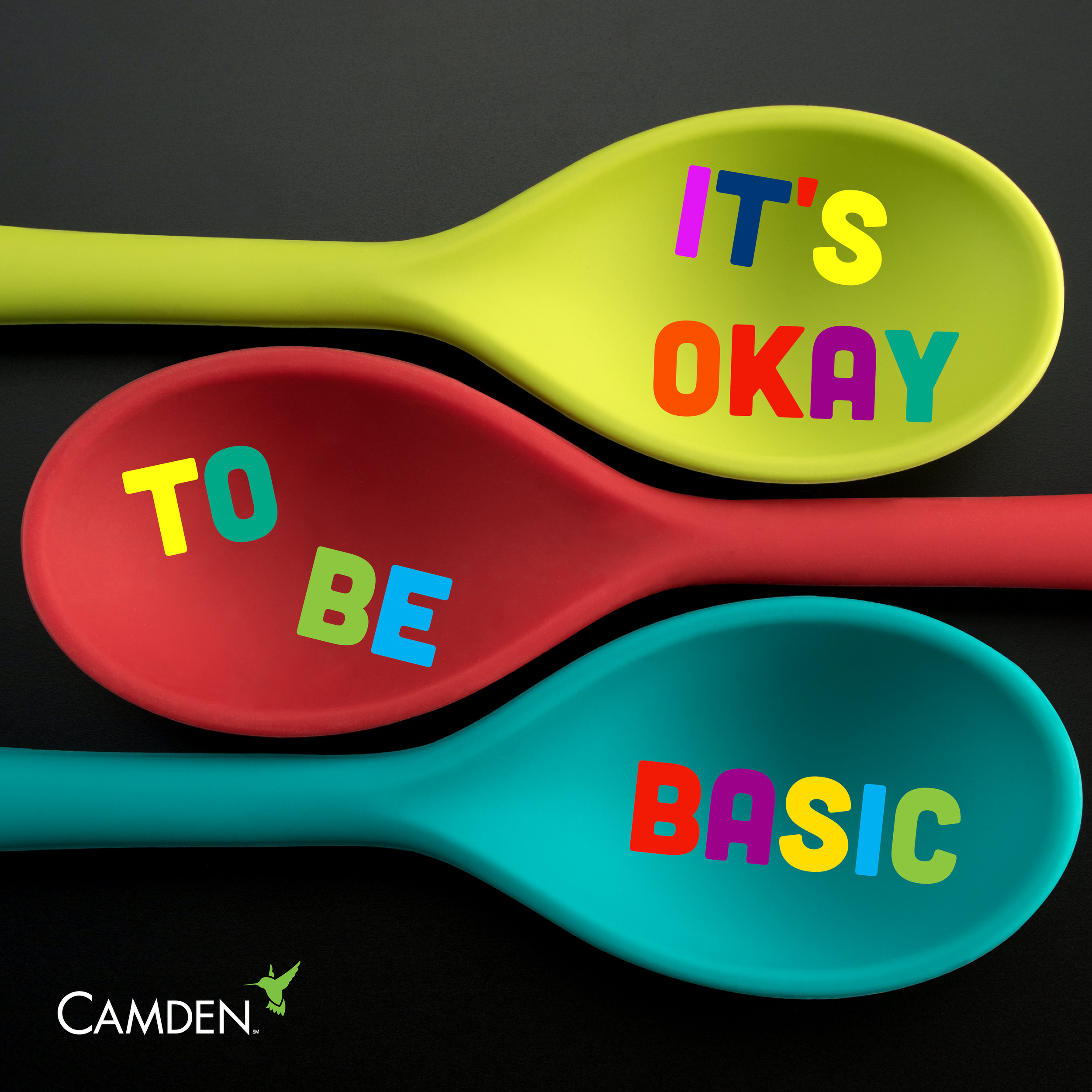 Misc_BasicKitchenTools.png