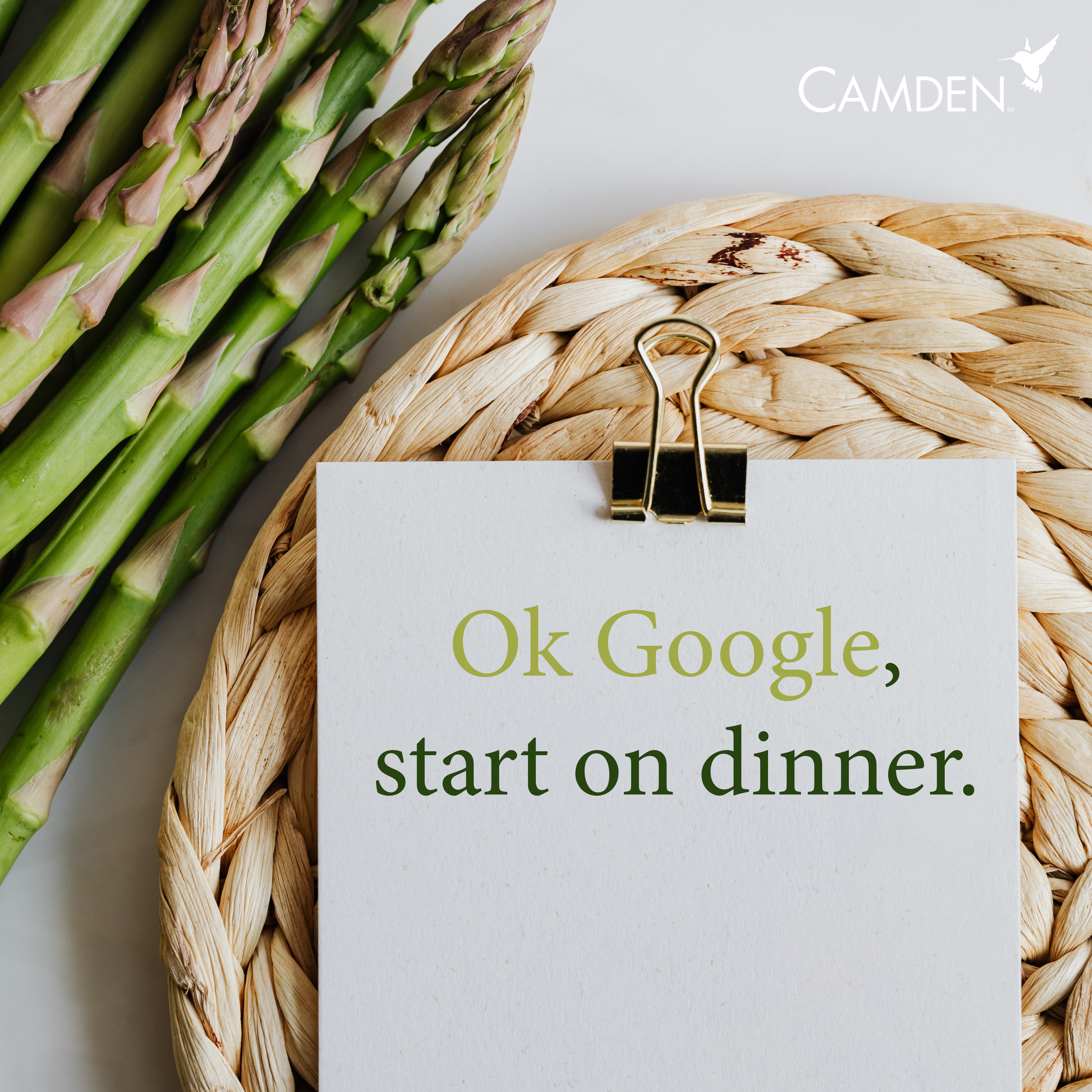 SmartHomeDeviceV2_GoogleDinner.png