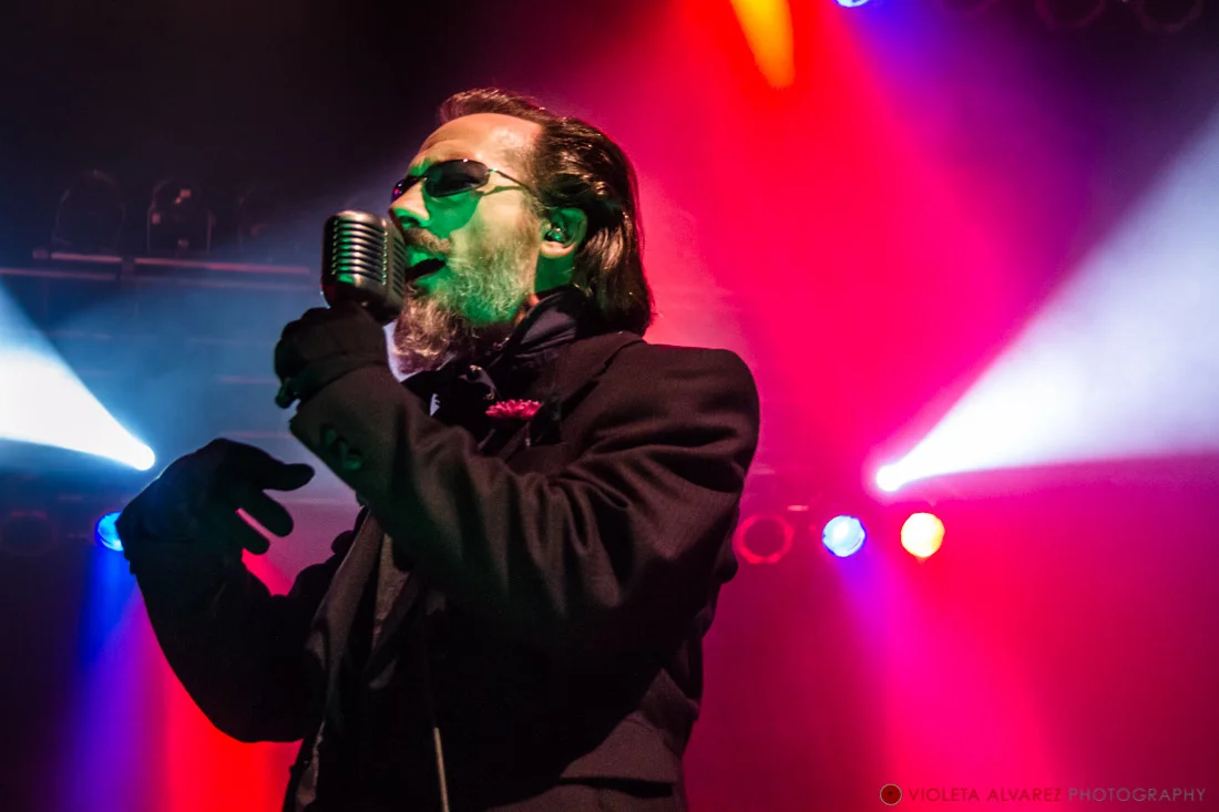 The Damned