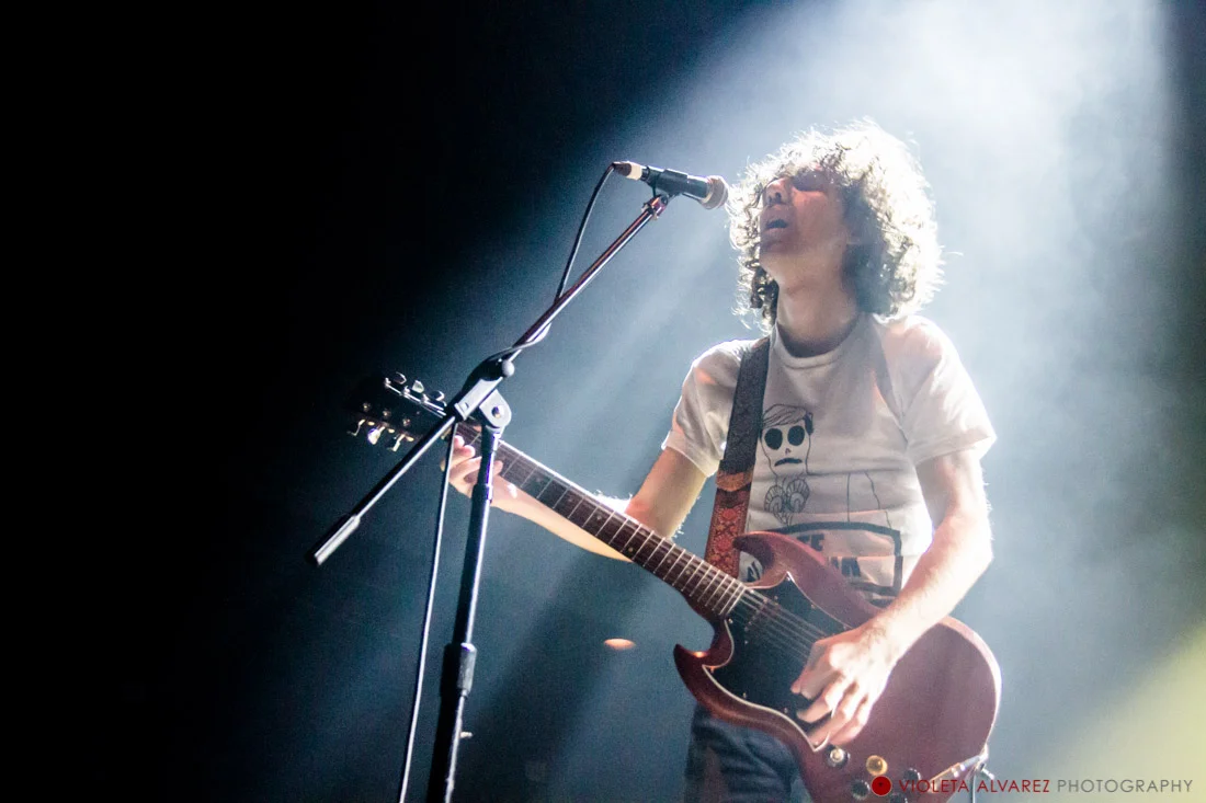 Car Seat Headrest