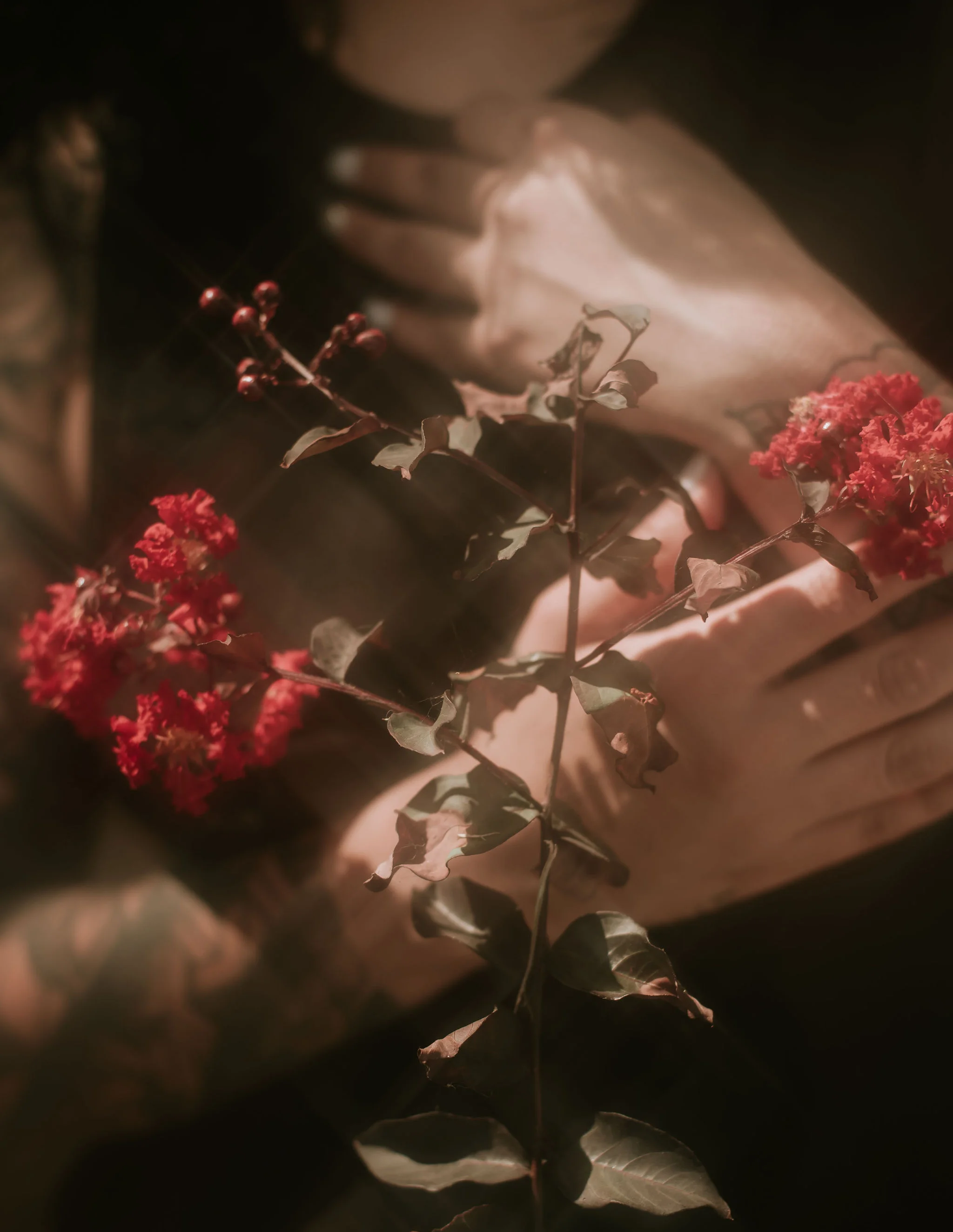 Fine Art Photographer :: Danika Dobson