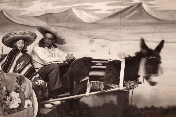 Burro42_96d.gif