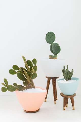 from sugarandcloth.com