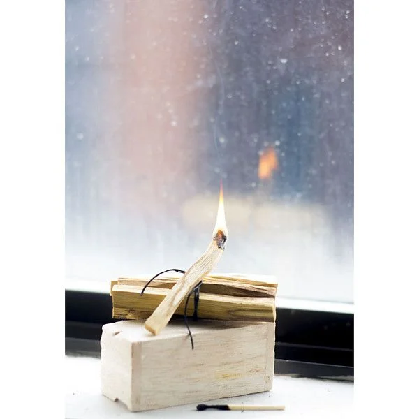 149e00d73c14cfe9461006ba6ccbf741--incense-sticks-palo-santo-tree.jpg