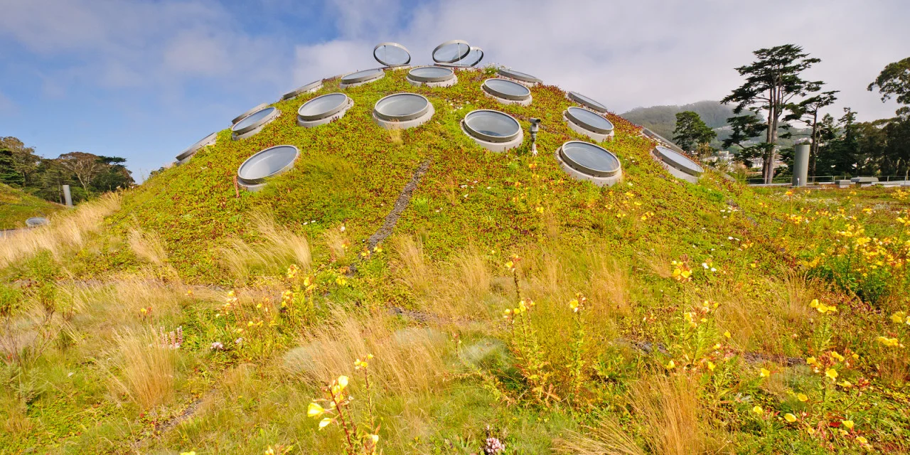 Green-Roof-1280x640.jpg