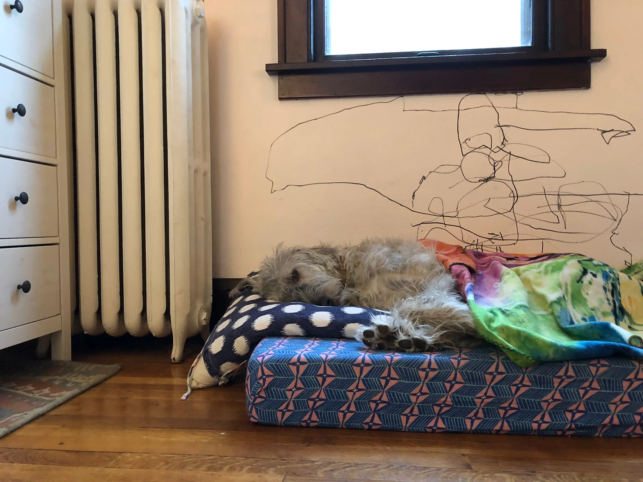 IMG_0188.jpeg