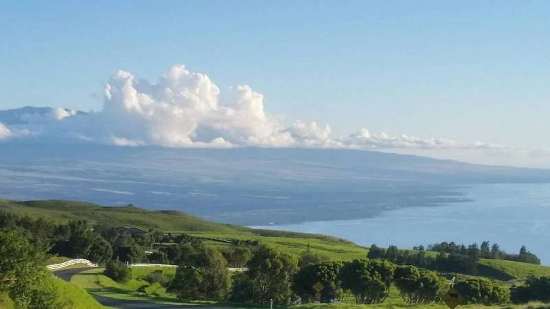 View from Lanai