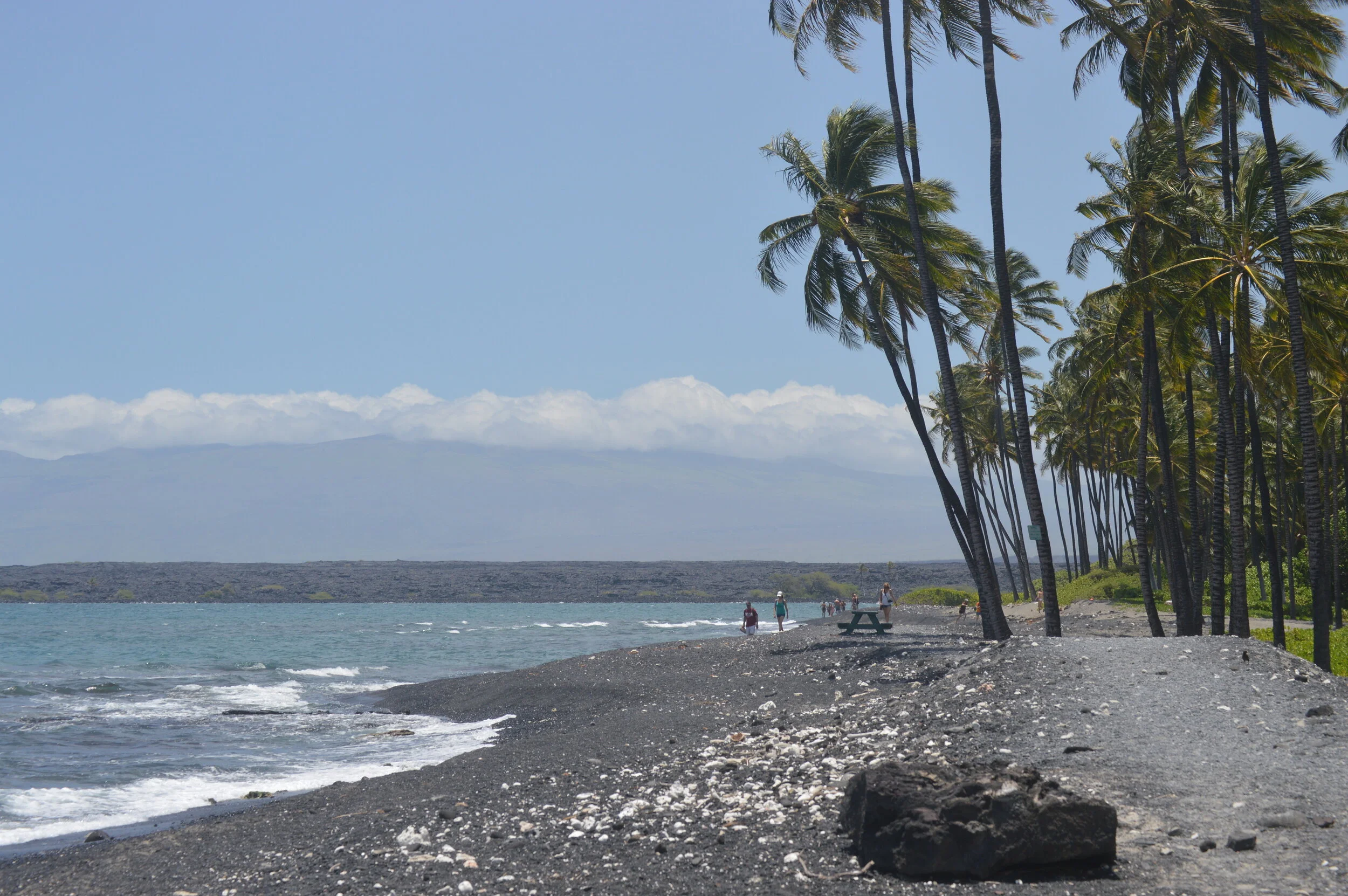 Hawaiian Steel Guitar Festival