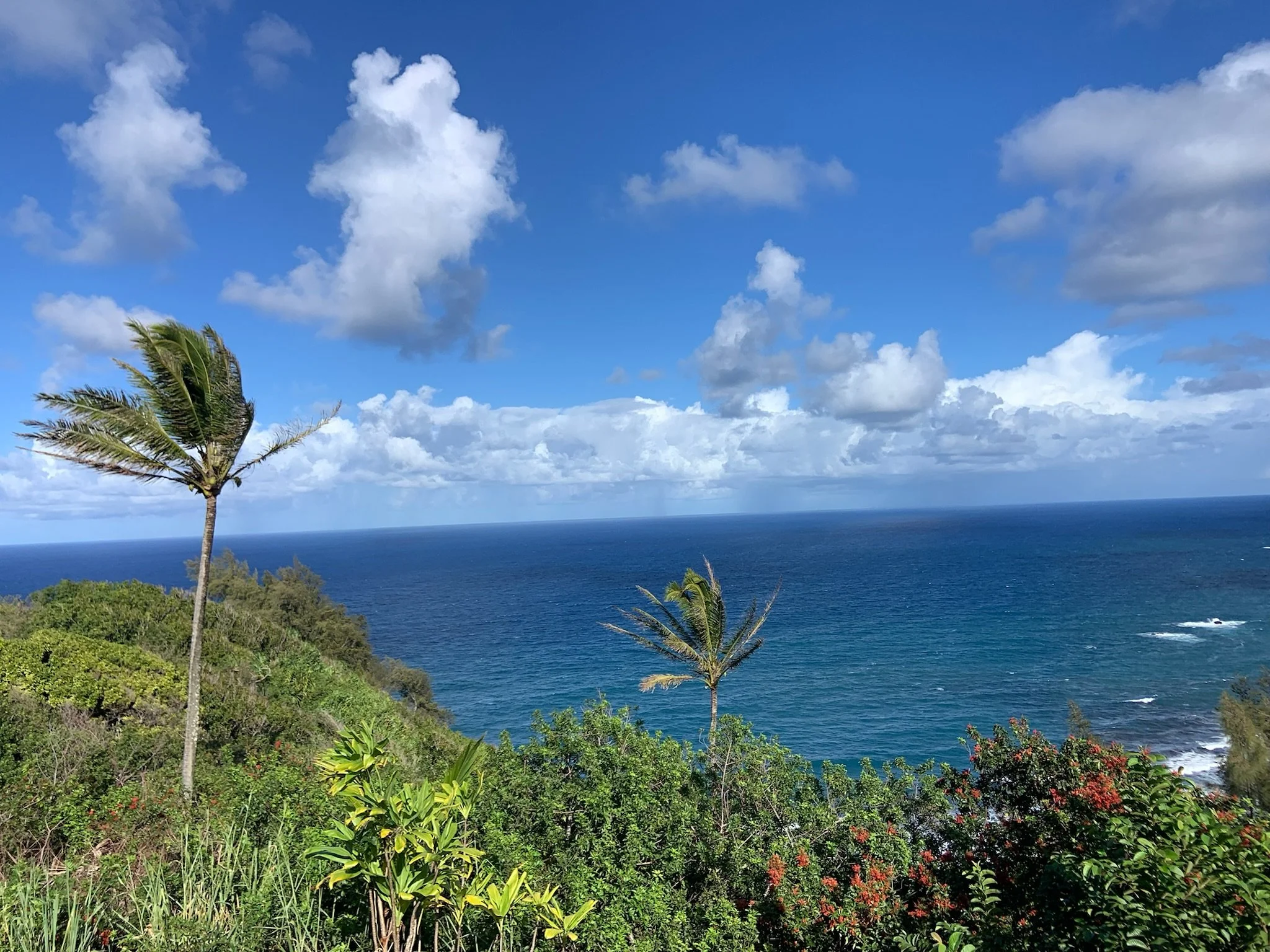 A Guide to Buying Property in the Aloha State