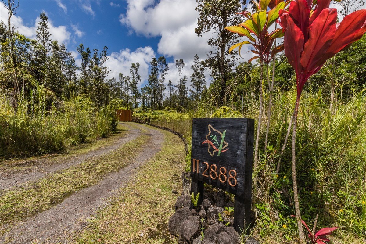 The real houseplants of Hawaii