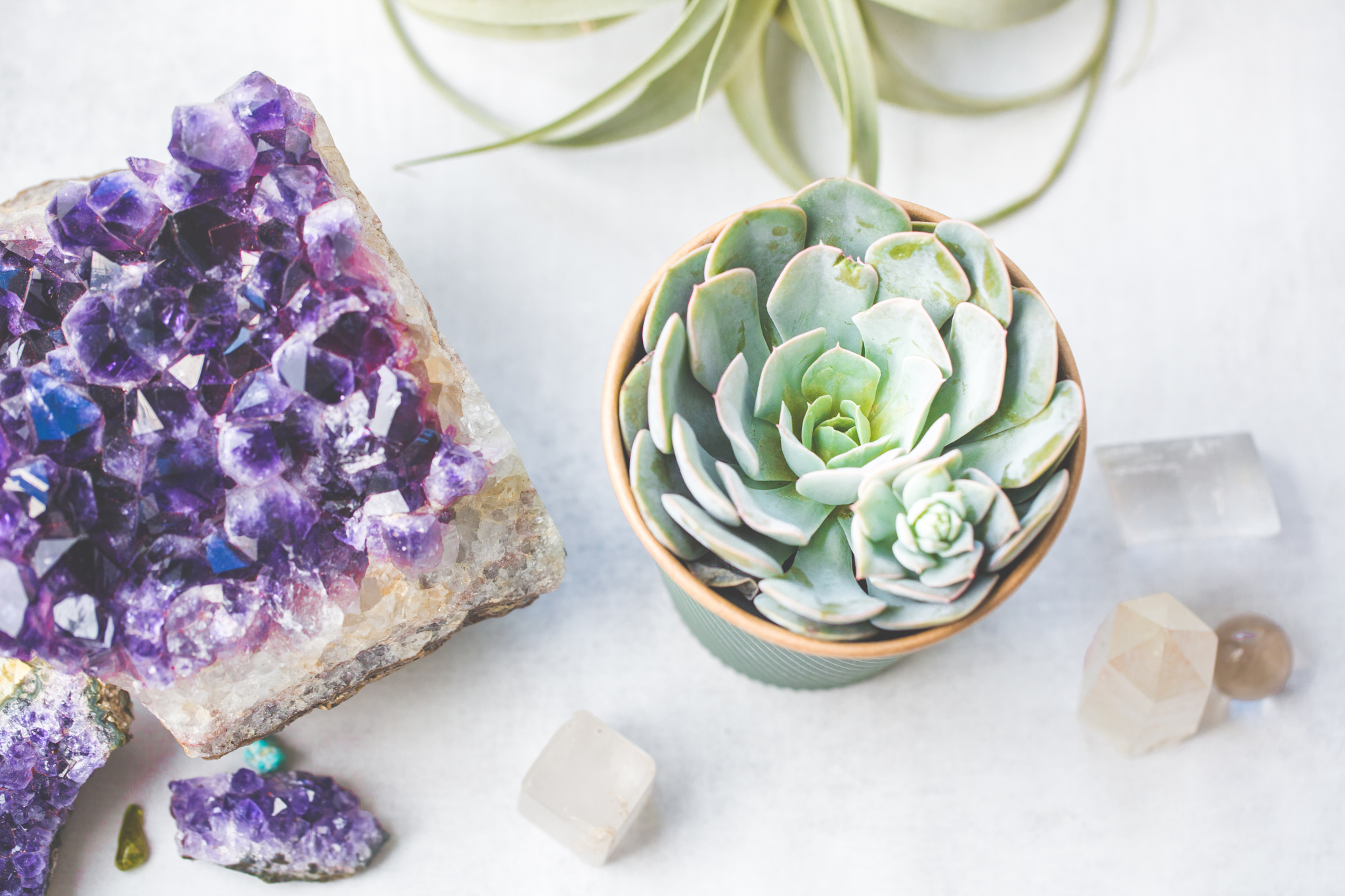 Crystal_Succulent_Home-103.jpg