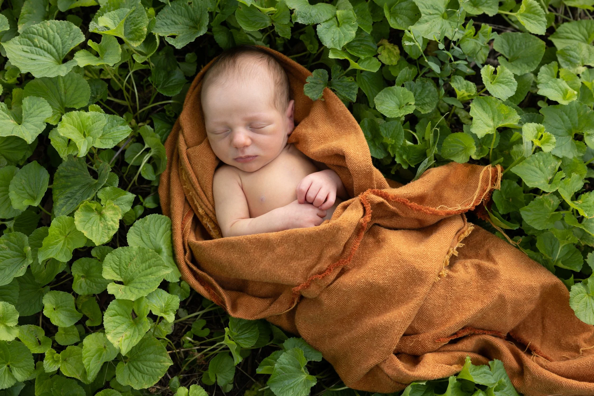 outdoorbabyphotospittsburgh.jpg