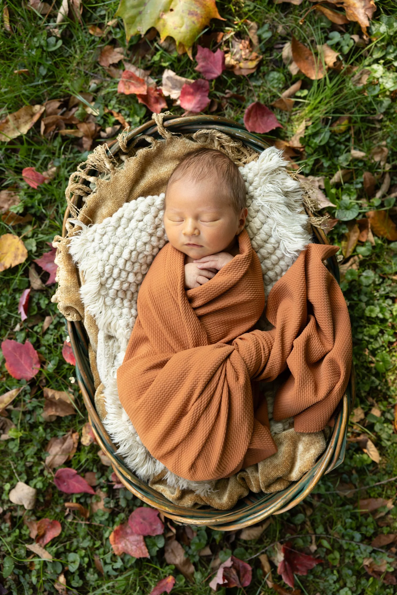 Pittsburghnewbornphotographyoutdoor.jpg