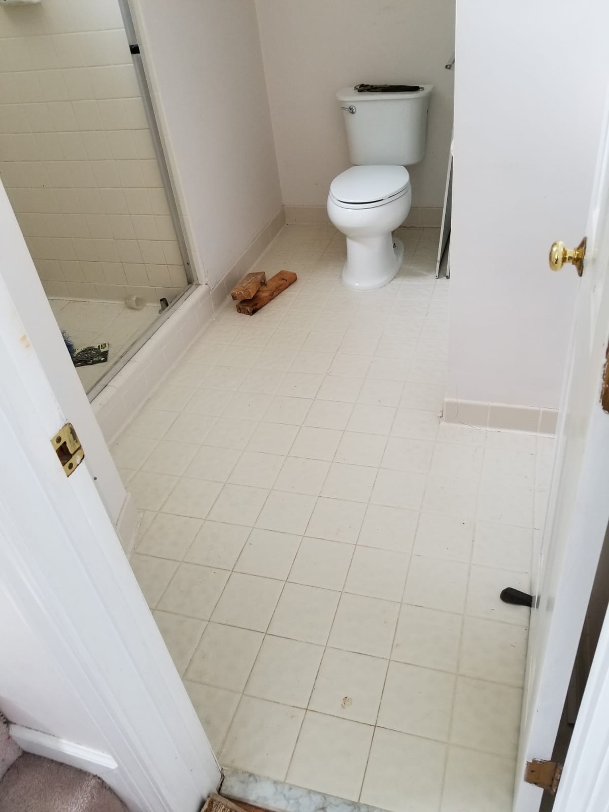 toilet and floor.jpg