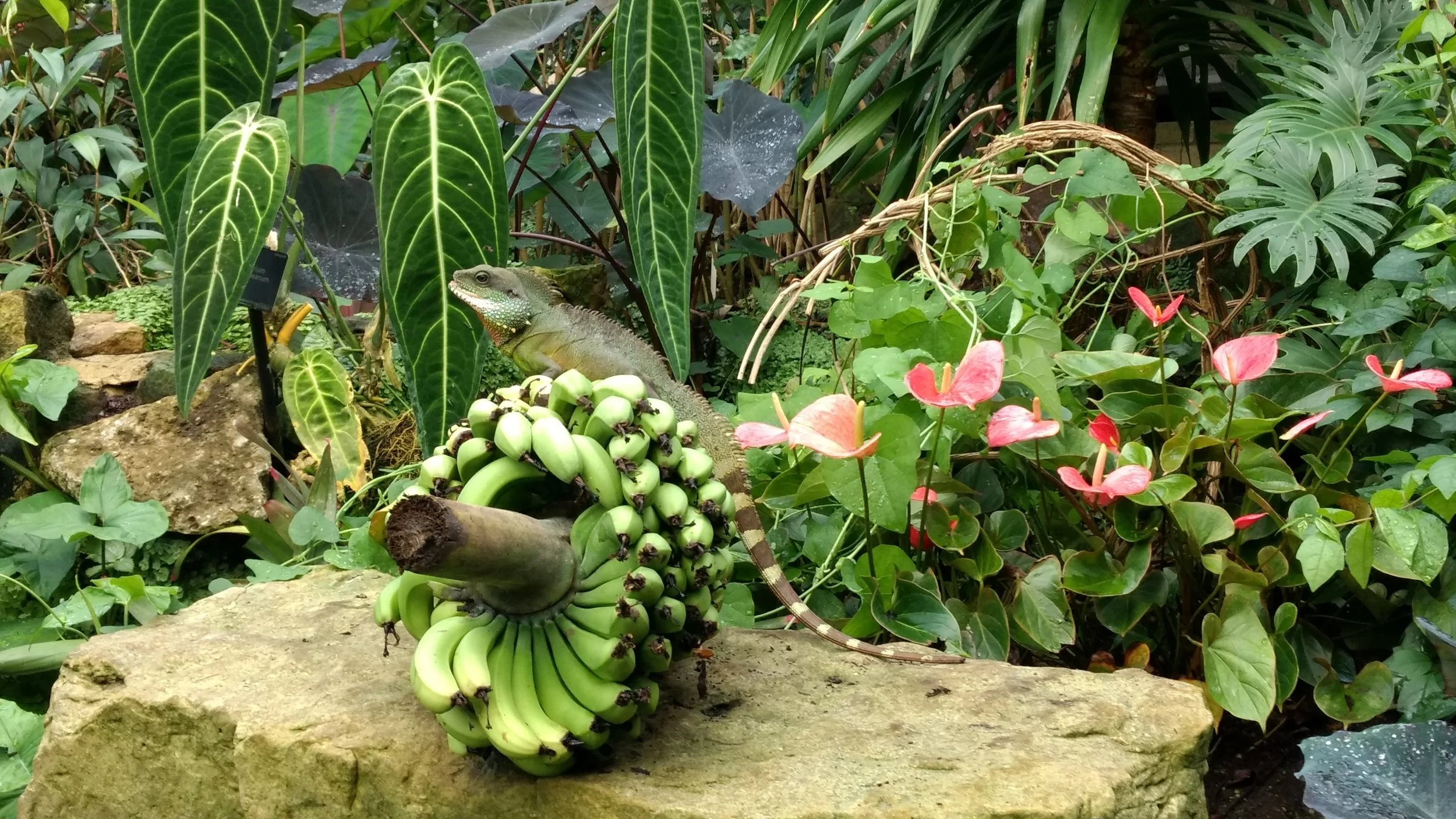 Kew_Gardens_03.jpg