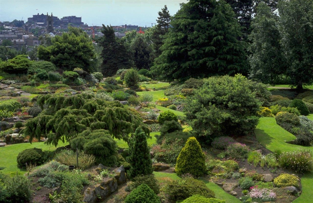 Royal_Botanic_Garden_Edinburgh_rockgarden_925498906.jpg