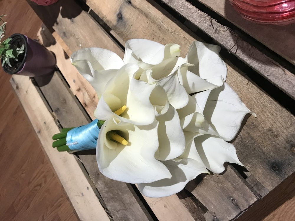 calla.jpeg