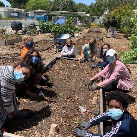 Last week, students and interns transplanted tomato and pepper seedlings into our raised beds 🌱🍅🌶