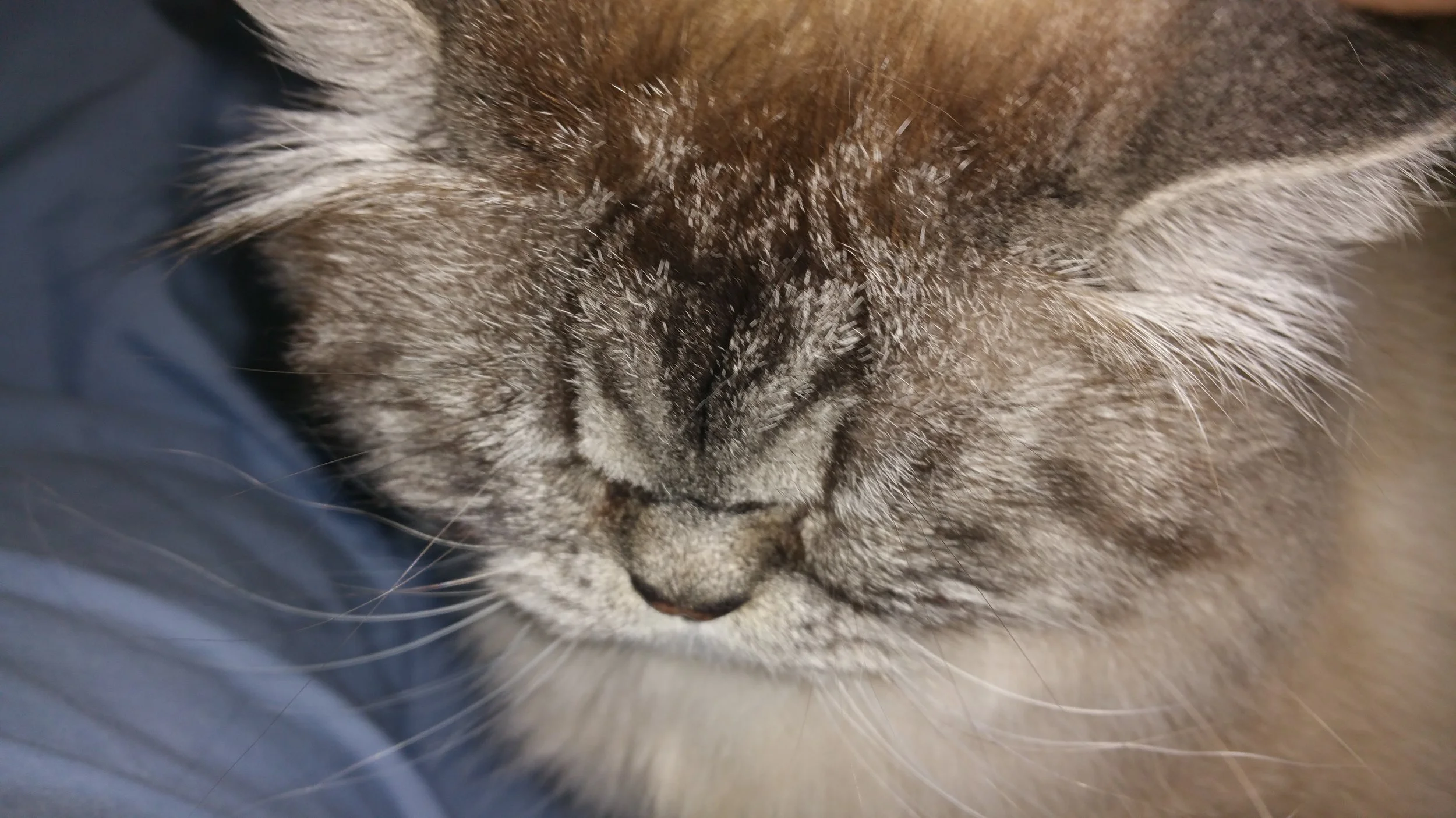 20150428_145229.jpg