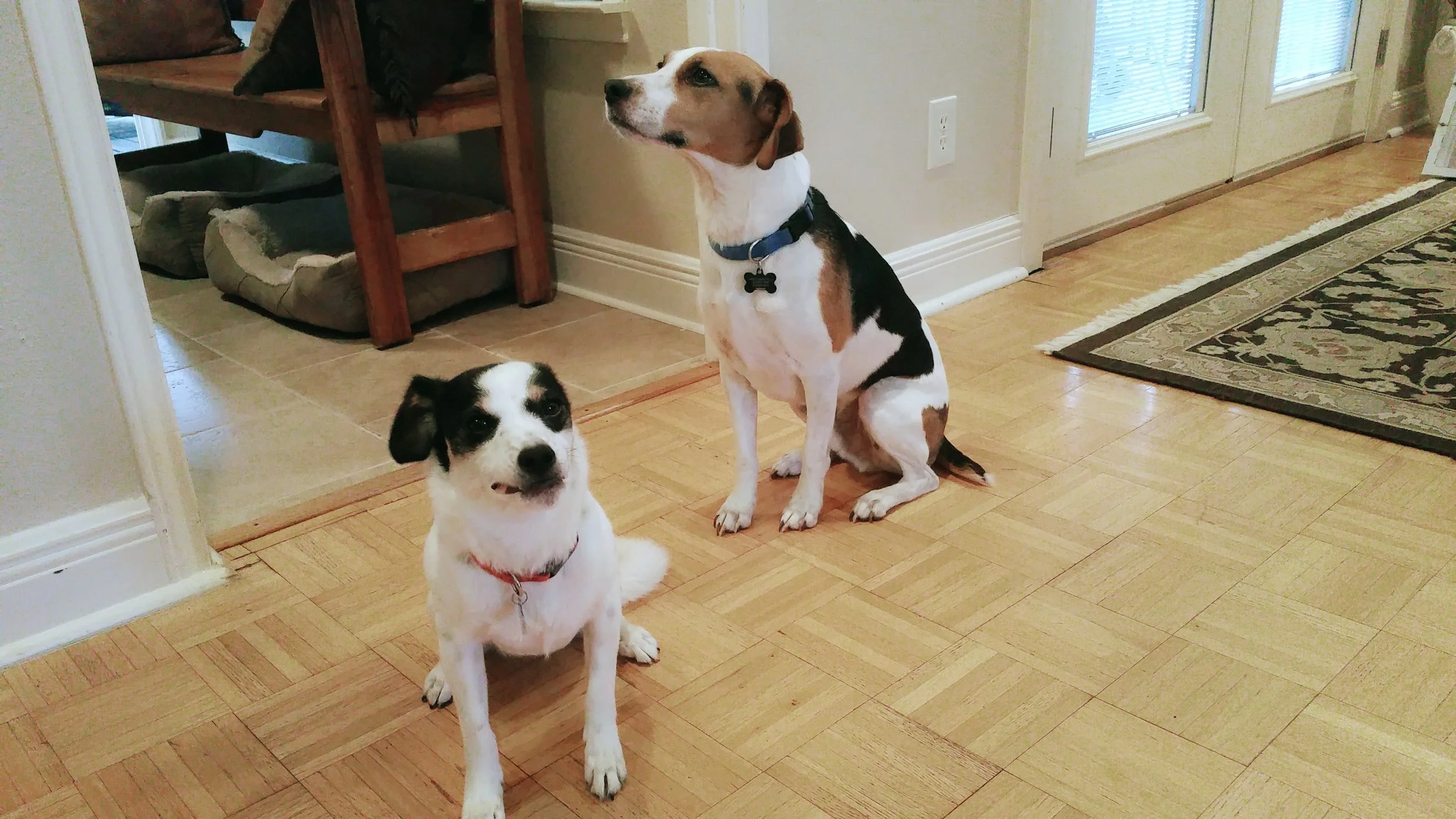 Charlie Brown & Lucy