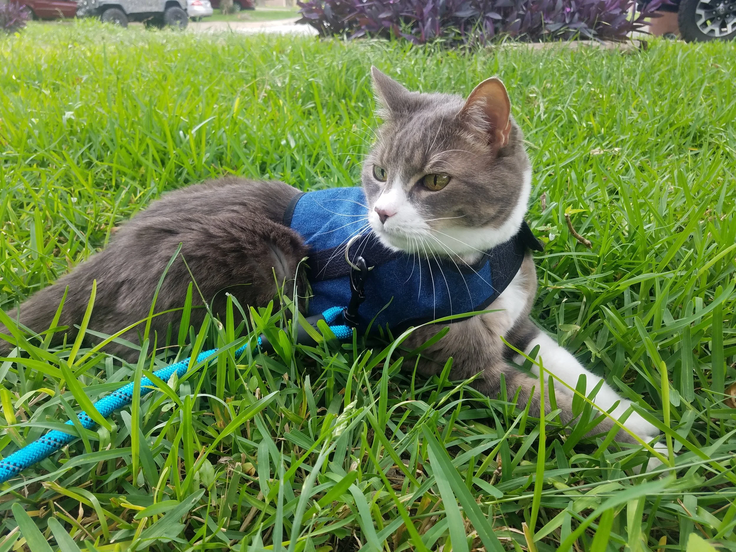 20190507_140543.jpg
