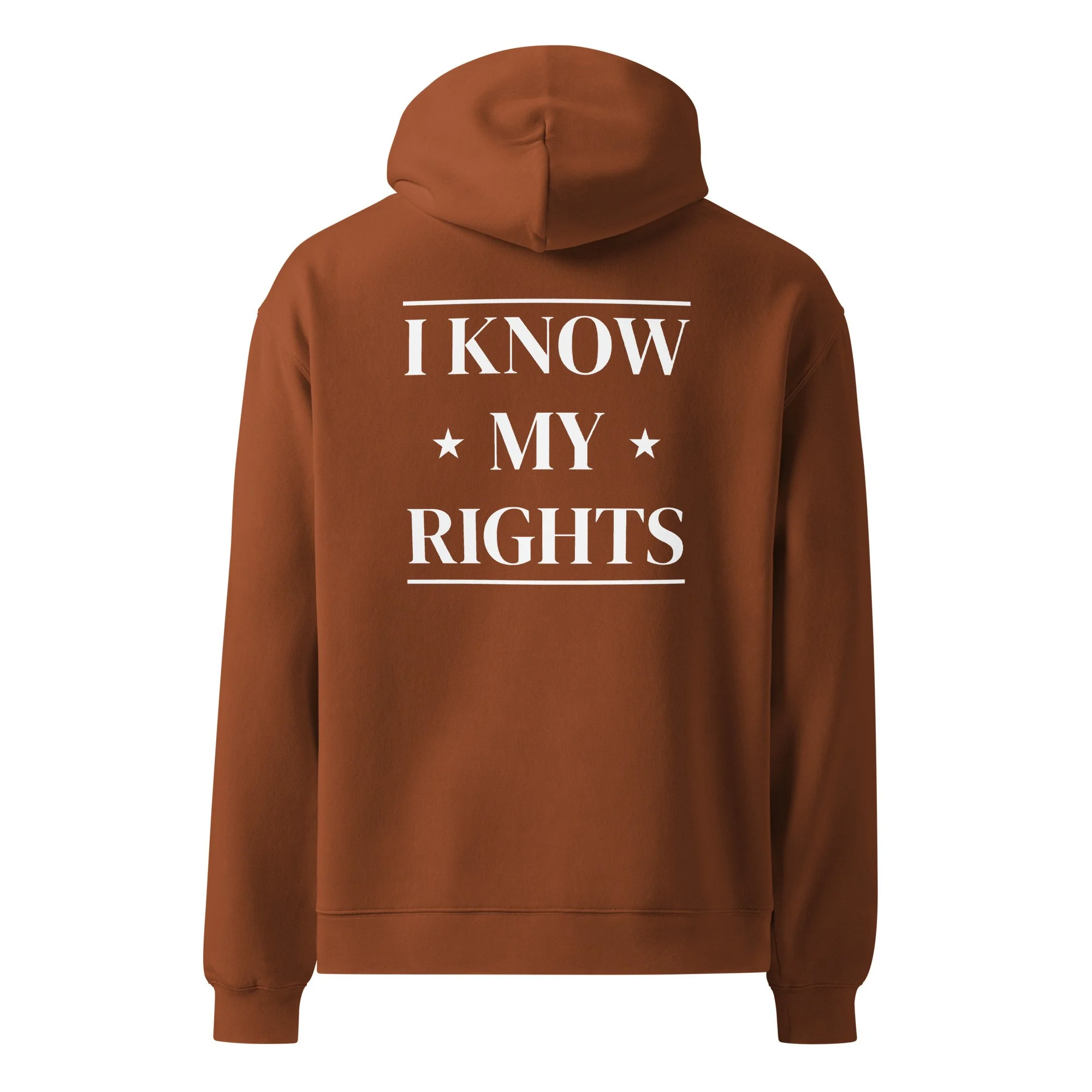 as-colour-5161-i-unisex-oversized-hoodie-clay-back-6995058084f04.jpg