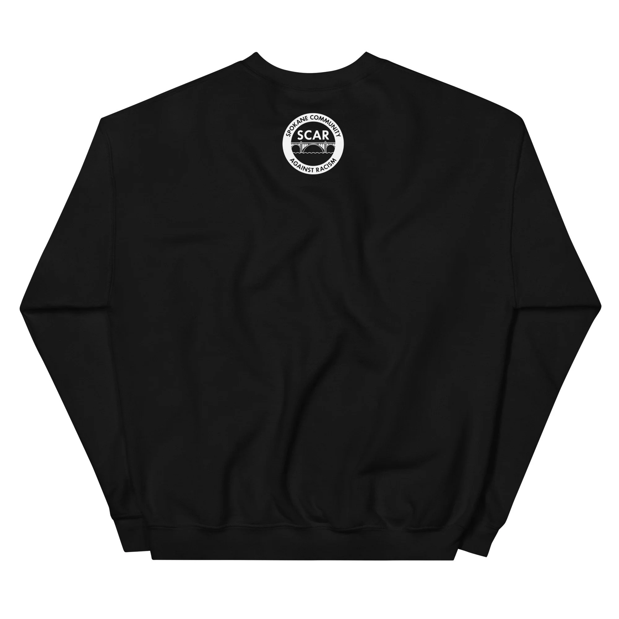 unisex-crew-neck-sweatshirt-black-back-69e68e397bb6c.jpg