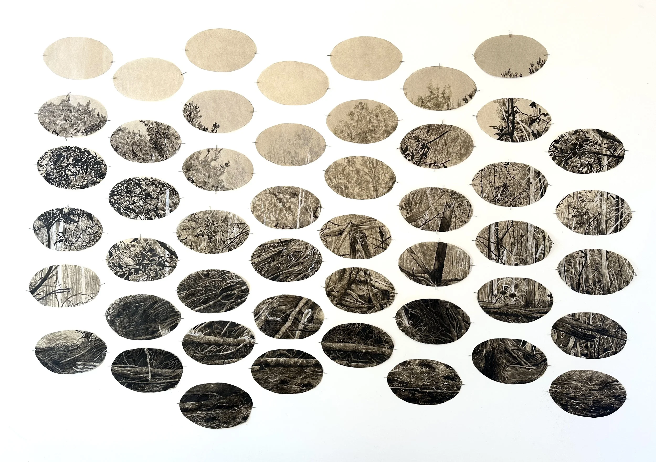   Bound by the Boundary,  watercolor with ink and pastel on handmade paper, 41” x 30”, 2025. 