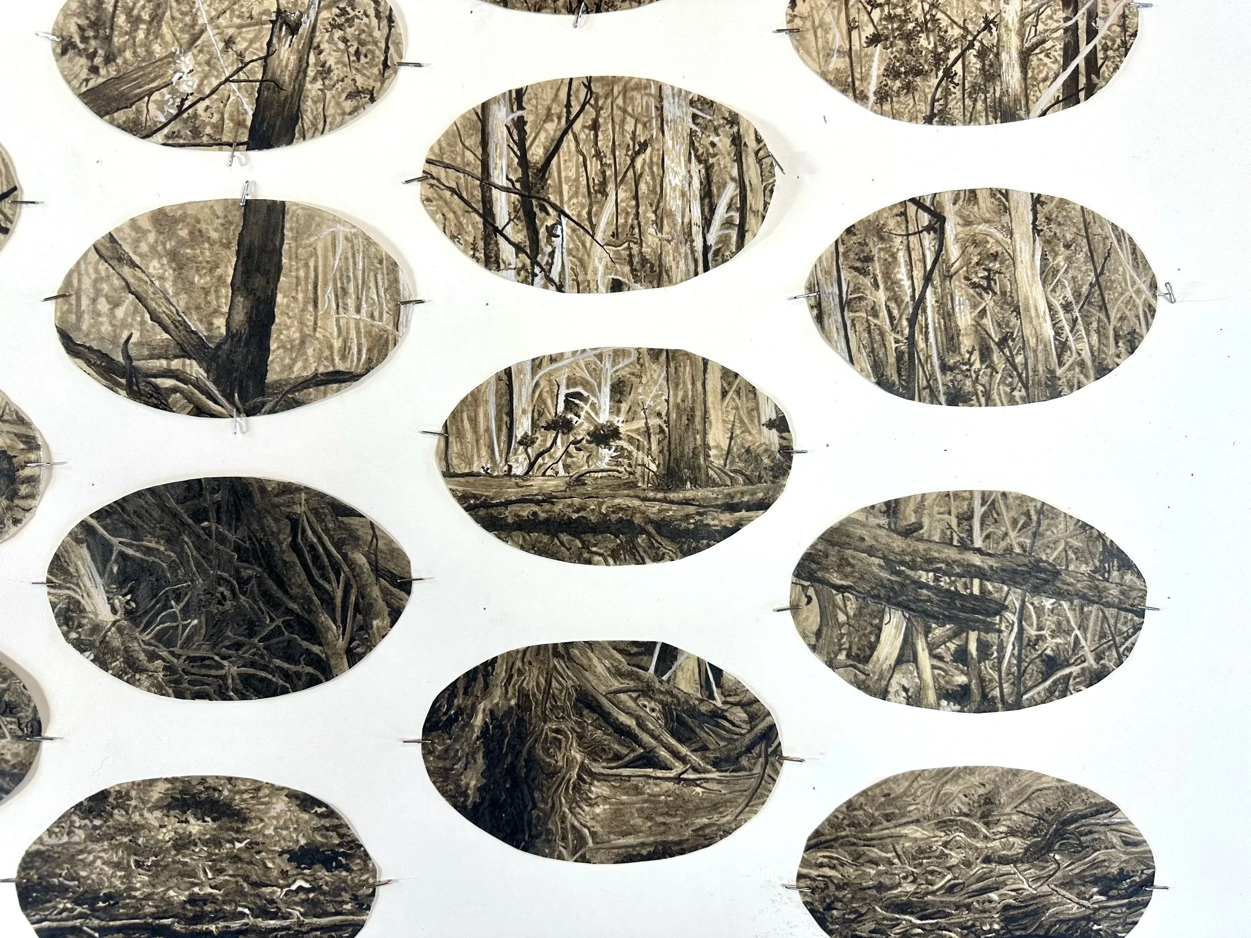   Bound by the Boundary (detail),  watercolor with ink and pastel, 41” x 30”, 2025.   