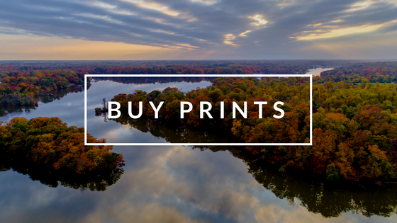 Buy_Prints.png