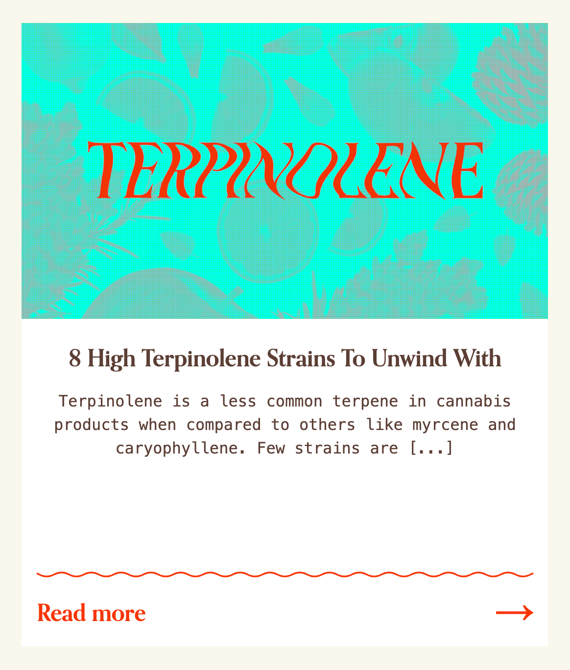 terp1.png
