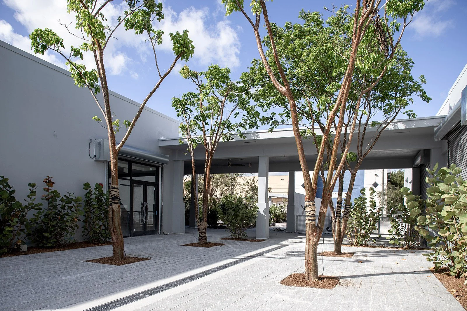 Rubell Museum.jpg