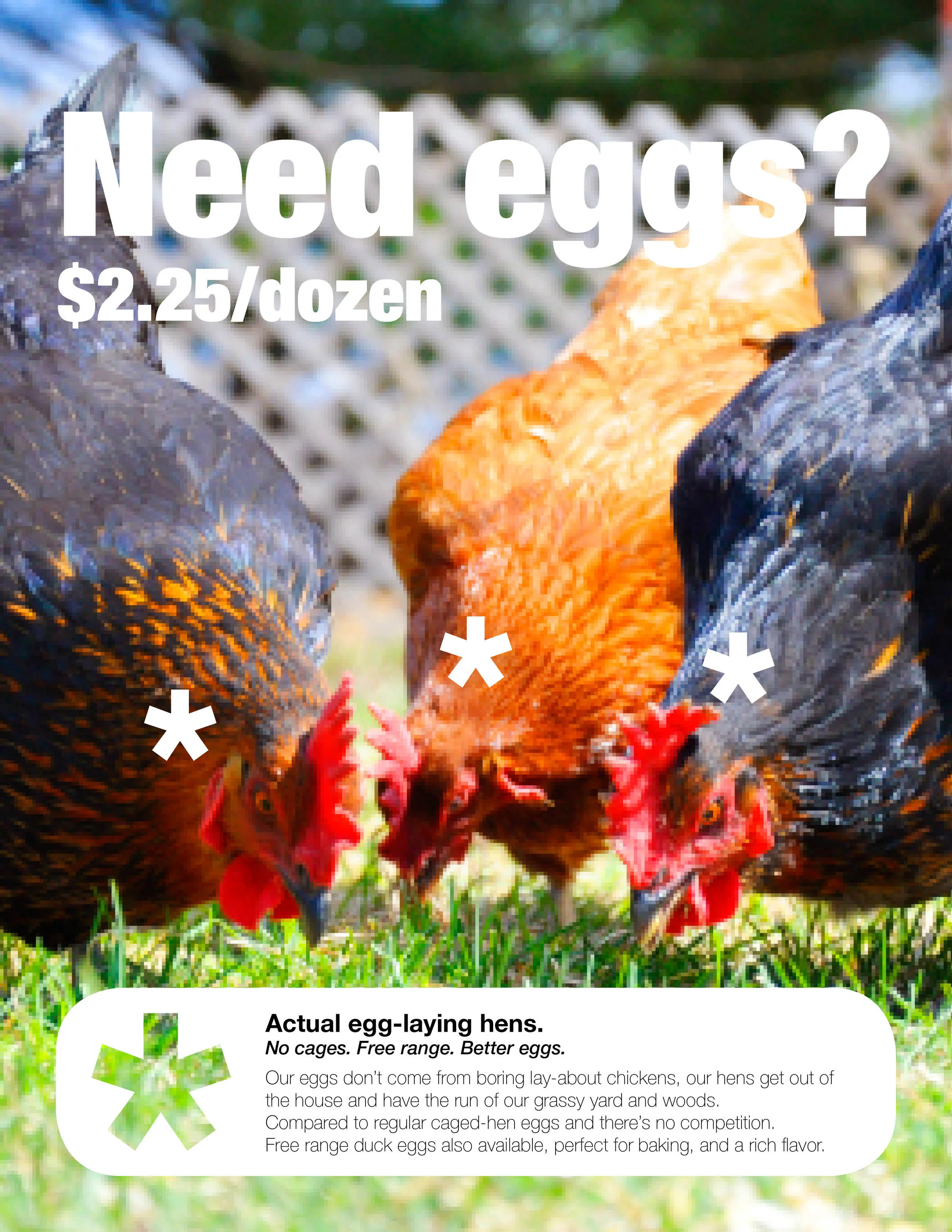 chicken eggs ad 7.17.jpg